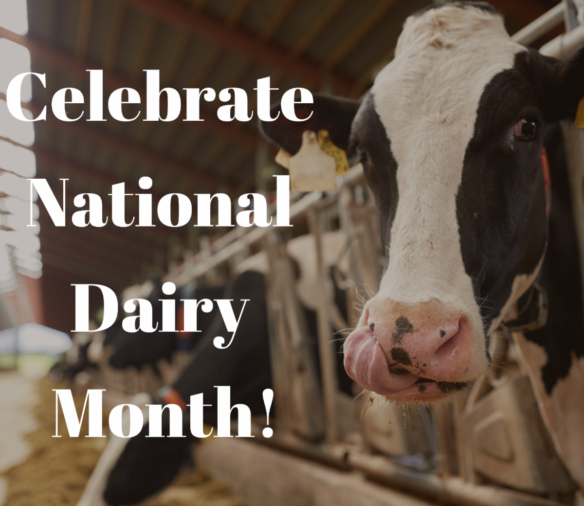 Copy of Dairy Month graphic - Ag Newsletter.png