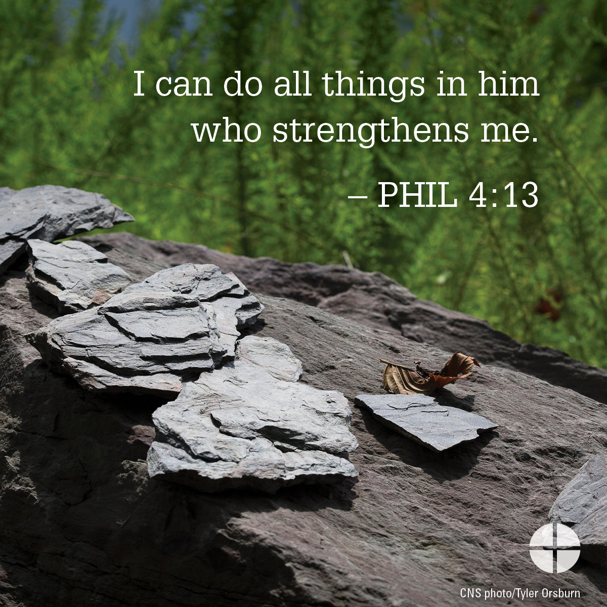 Saint Josephine Bakhita Parish News