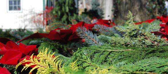 Greens for the holidays