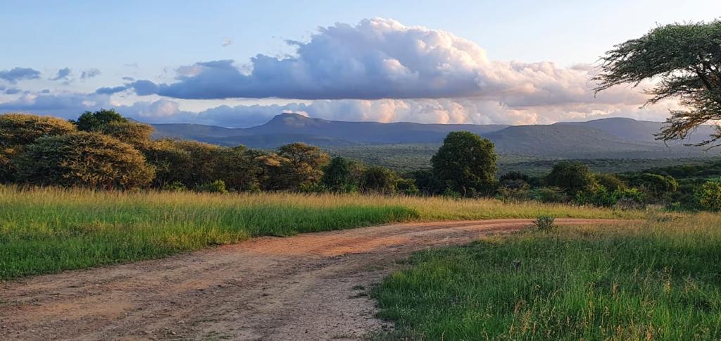 Loziba Reserve