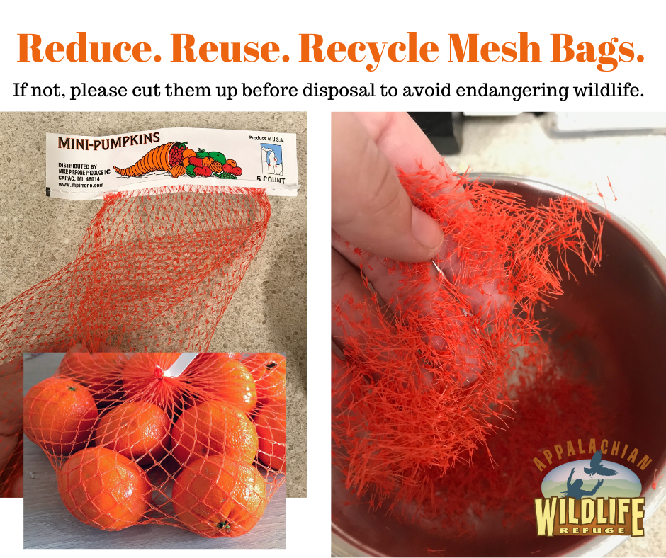 Reduce Reuse Recycle Mesh Bags - Or cut them up