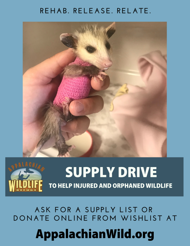 Appalachian Wild Supply Drive flyer