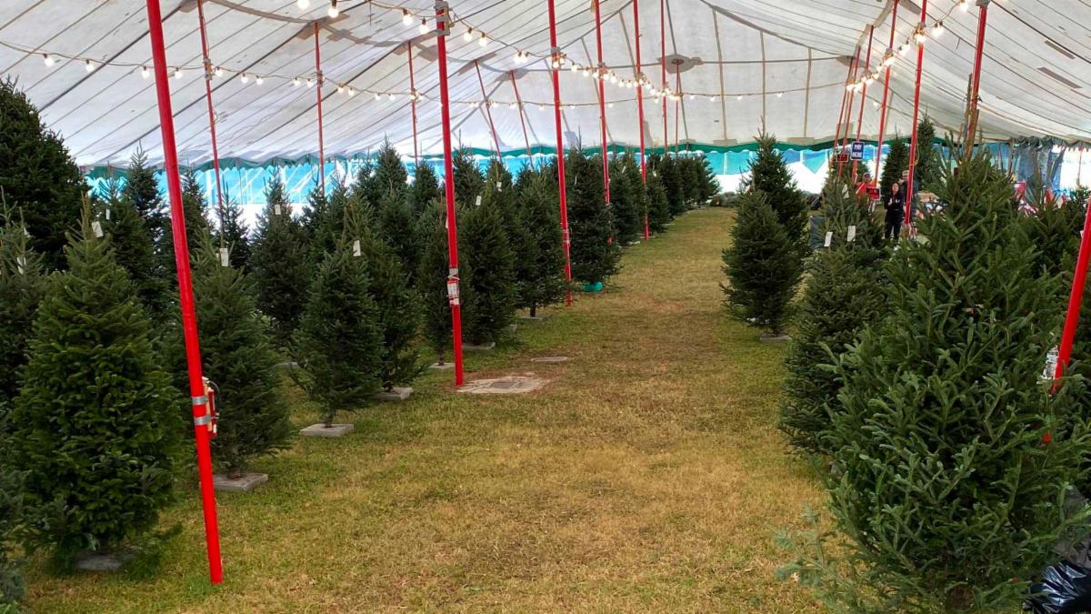 What's happening this week...