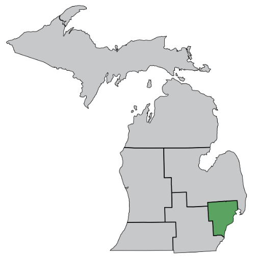 Map of Michigan state with the Metro region highlighted in green.