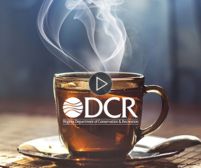 Tea with Environmental Education video