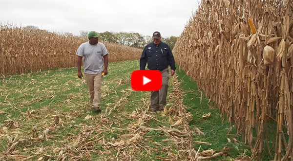 VACS video