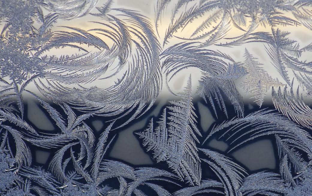 Butterfield Library's Online Gallery