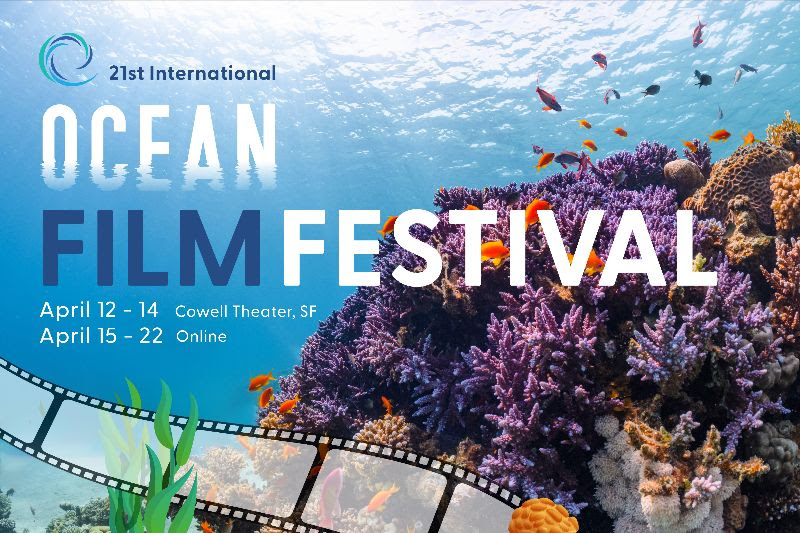 International Ocean Film Festival Banner