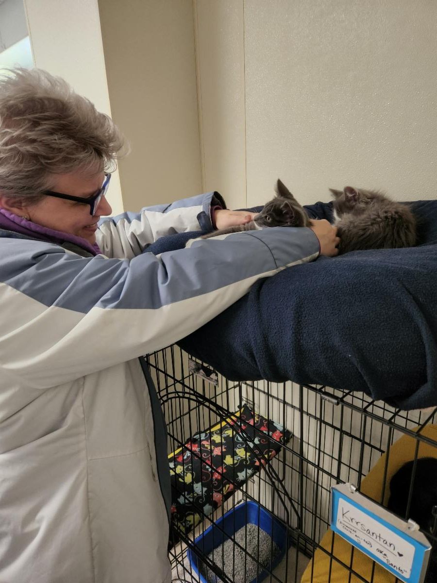 November 2023 Newsletter