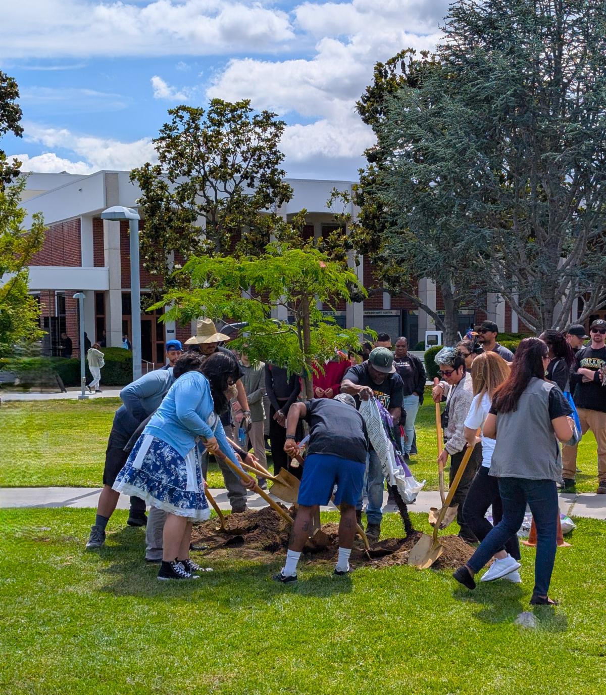 LAVC's Urban Forest Committee plants a tree in Monarch Square