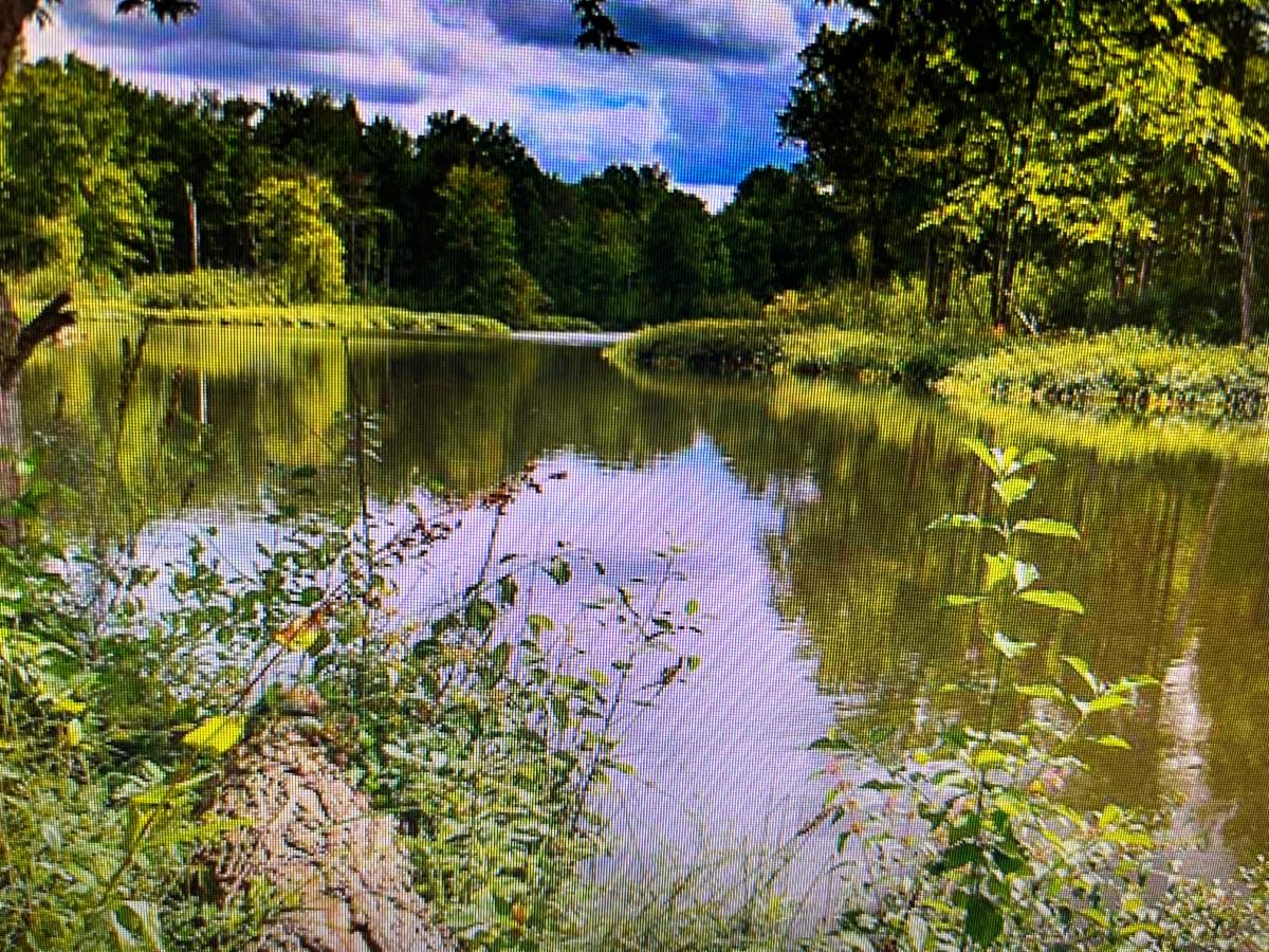 North Chagrin Reservation