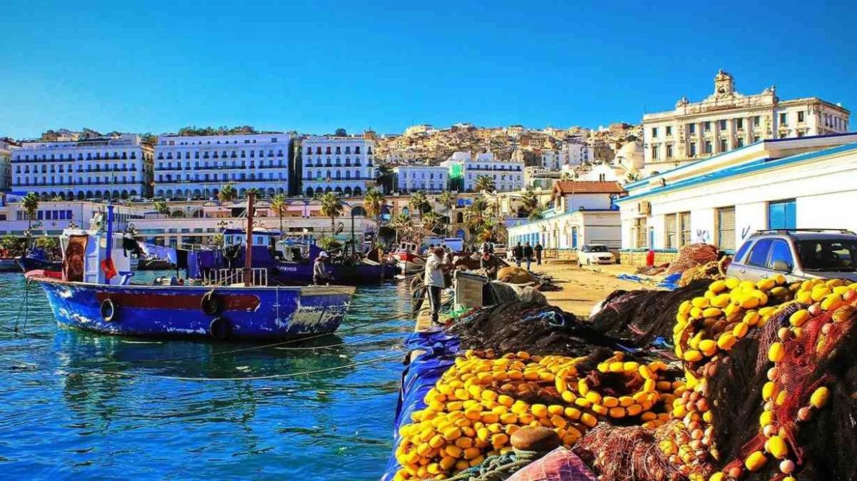 Algeria to Launch Specialized Investment Funds to Support Startup Growth and Diversification