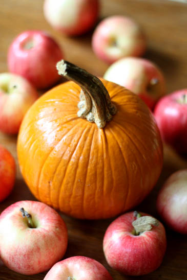 apples & pumpkins