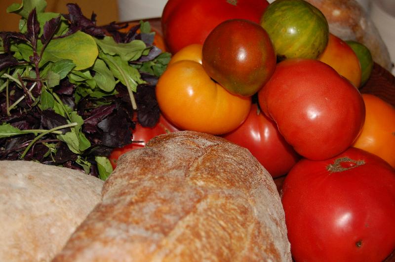 harvest supper tomatoes
