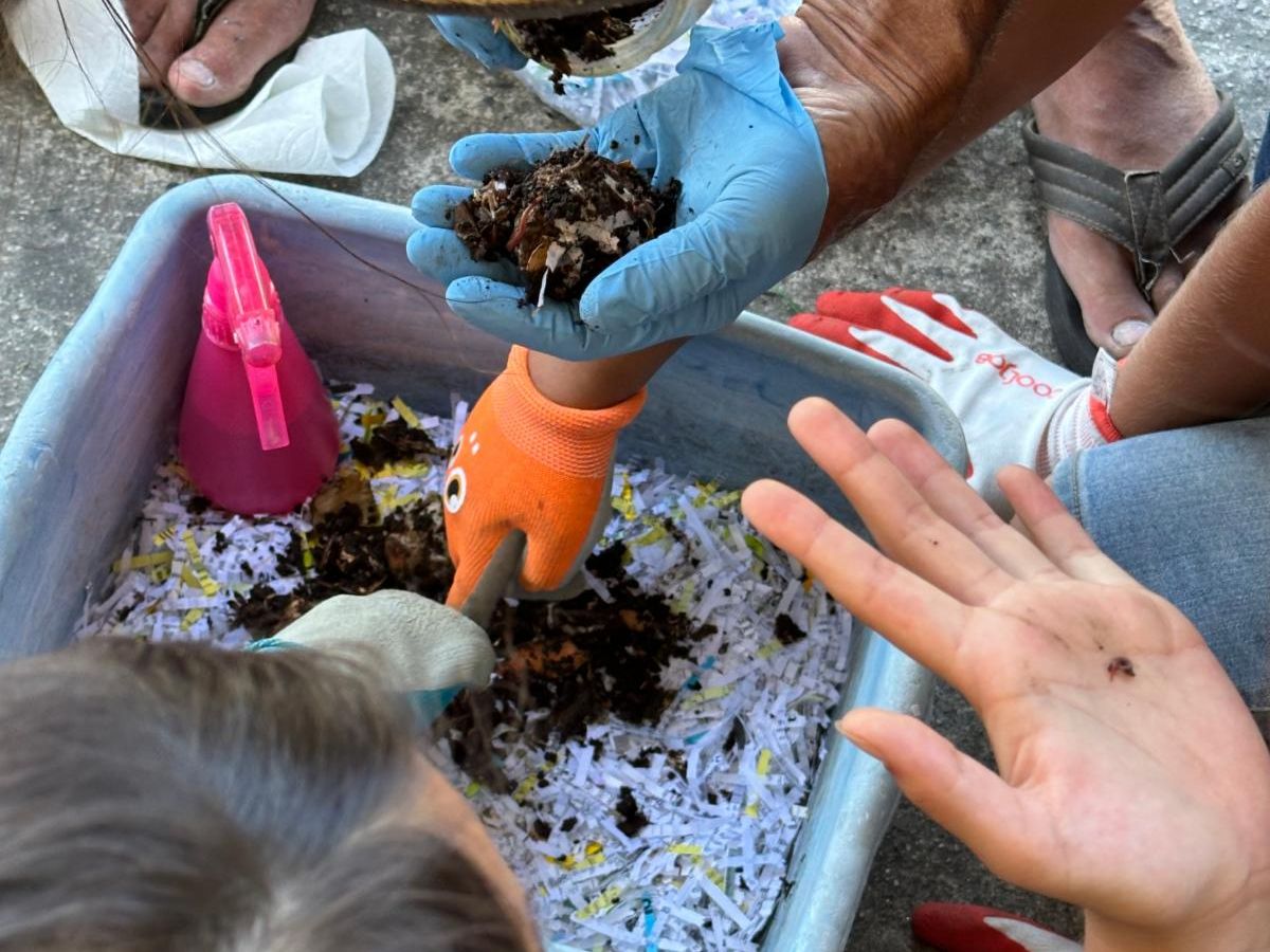 Vermiculture bin and hand holding worm