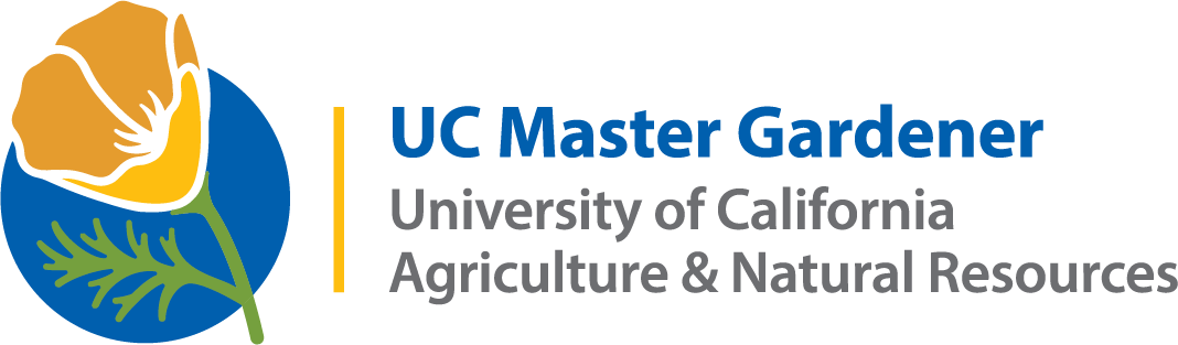 UC Master Gardener with yellow poppy on blue background logo