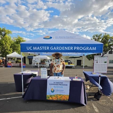 UC Master Gardener of Merced county volunteer Dennis staffing info booth at Merced Farmers Market