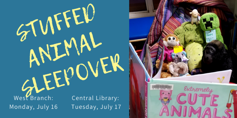 stuffed animal sleepover on july 16 at west branch_ july 17 at central