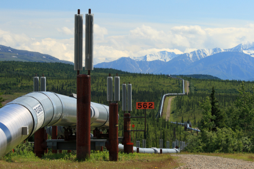 Trans-alaska pipeline in the taiga