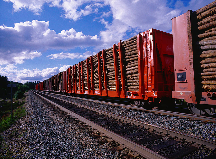 log_freight_train.jpg