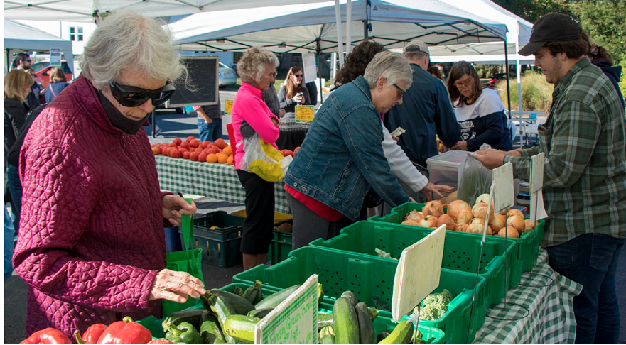 Outdoor Farmer's Market with several stalls visible and older women shopping