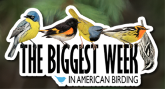 Banner with colorful birds announcing The Biggest Week in American Birding
