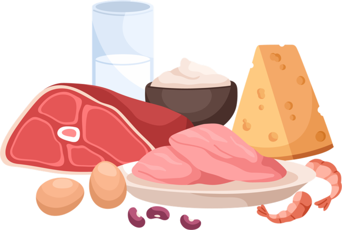 Various dairy foods, meats, eggs and beans