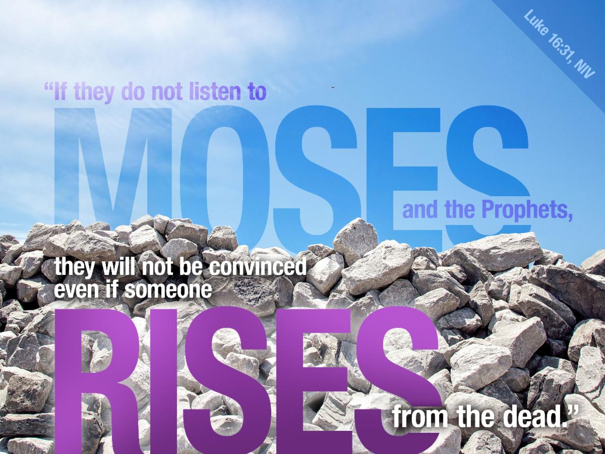 Weekly News from Peace Lutheran Church
