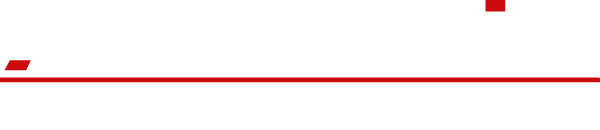 Artemis Executive Partners