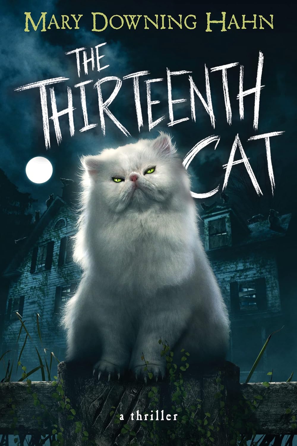 ‘The Thirteenth Cat’ by Mary Downing Hahn