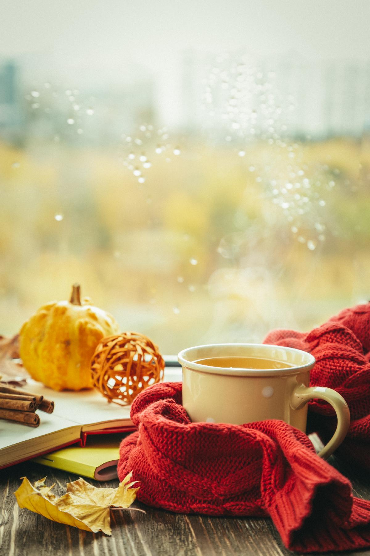 Photo of a teacup and fall decor