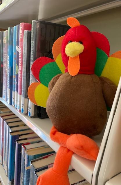 Photo of a plush turkey sitting on a book shelf