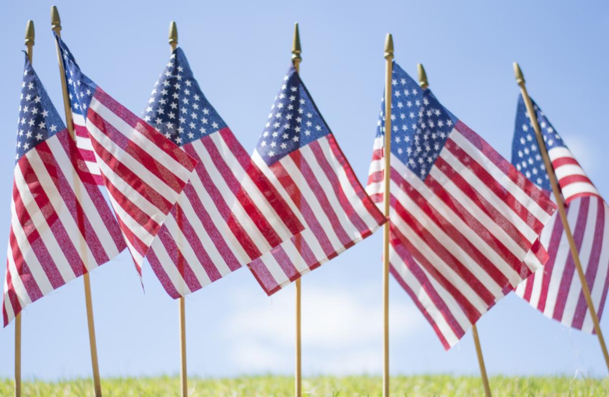 Photo of a row of small American flags stuck in the ground
