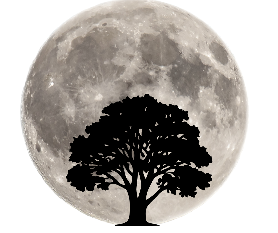 Silhouette of a tree against the moon