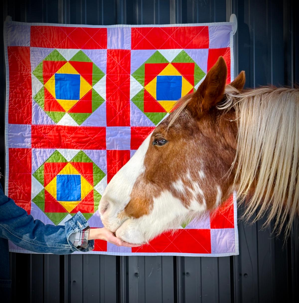 A brown and white horse with a long mane being hand-fed by a person in denim jeans, positioned in front of a colorful quilted blanket with geometric patterns featuring red, blue, green, and yellow squares arranged in a traditional design. The quilt is hanging on what appears to be a metal wall or barn door.