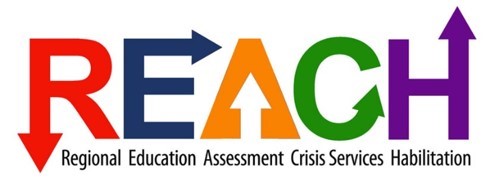 REACH developmental disability crisis supports for youth and adults