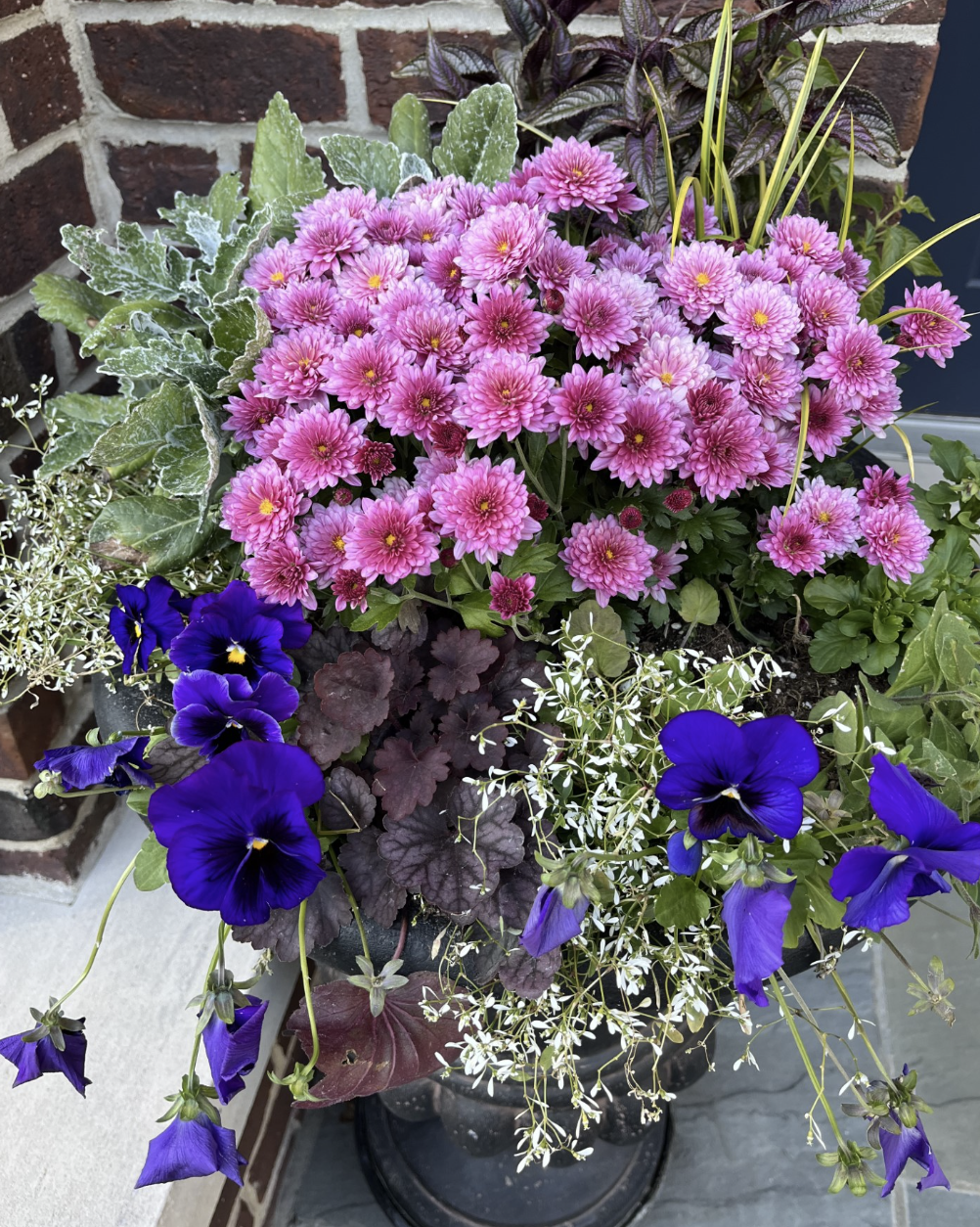 Update Your Garden This Week with These Great Plant Pairings