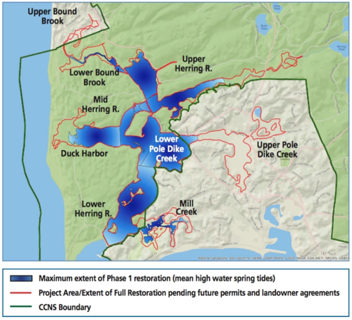 Herring River Restoration Public Hearing Continues