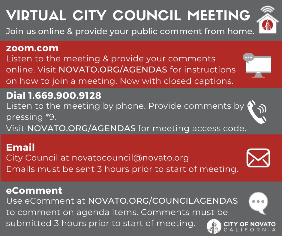 Zoom Council Instruction