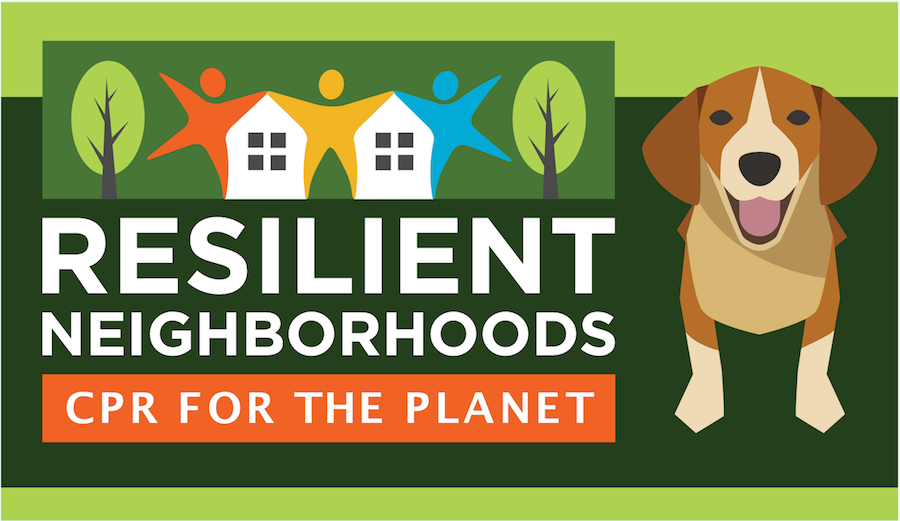 Resilient Neighborhoods