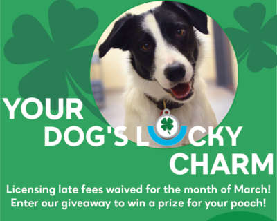 Dog Lic Fees Waived
