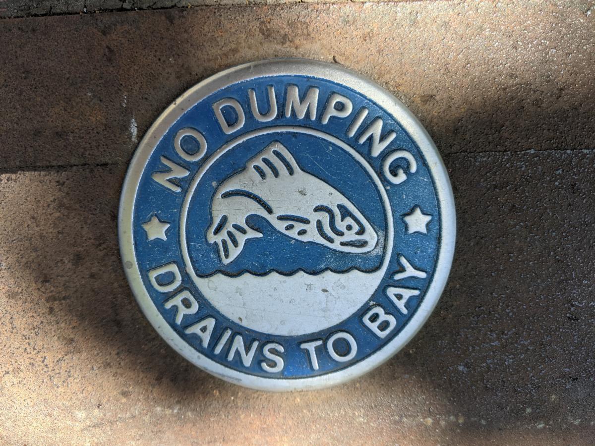 stormwater medallion