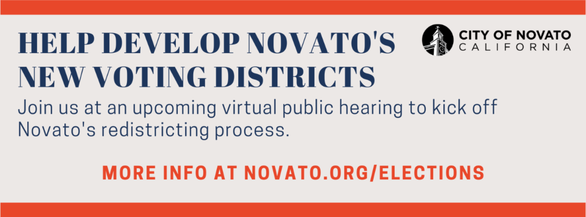 Redistricting Process