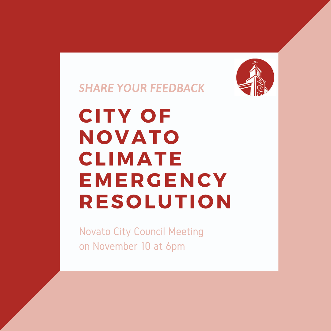 Climate Emergency Resolution