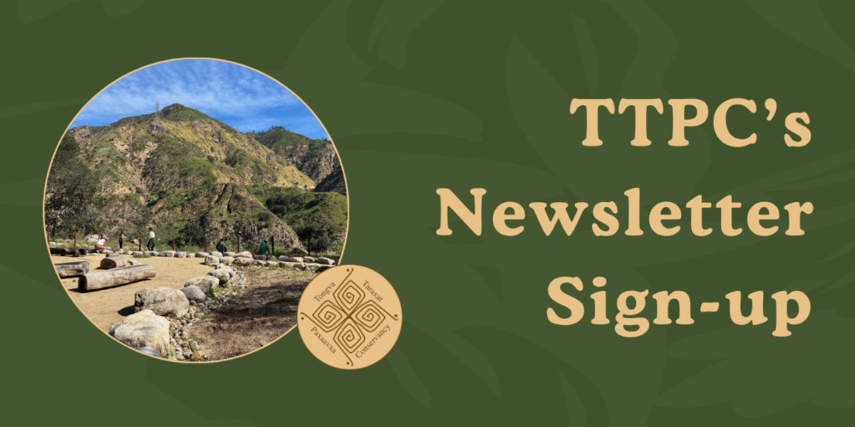 This green banner reads, "TTPC's Newsletter Sign-up"