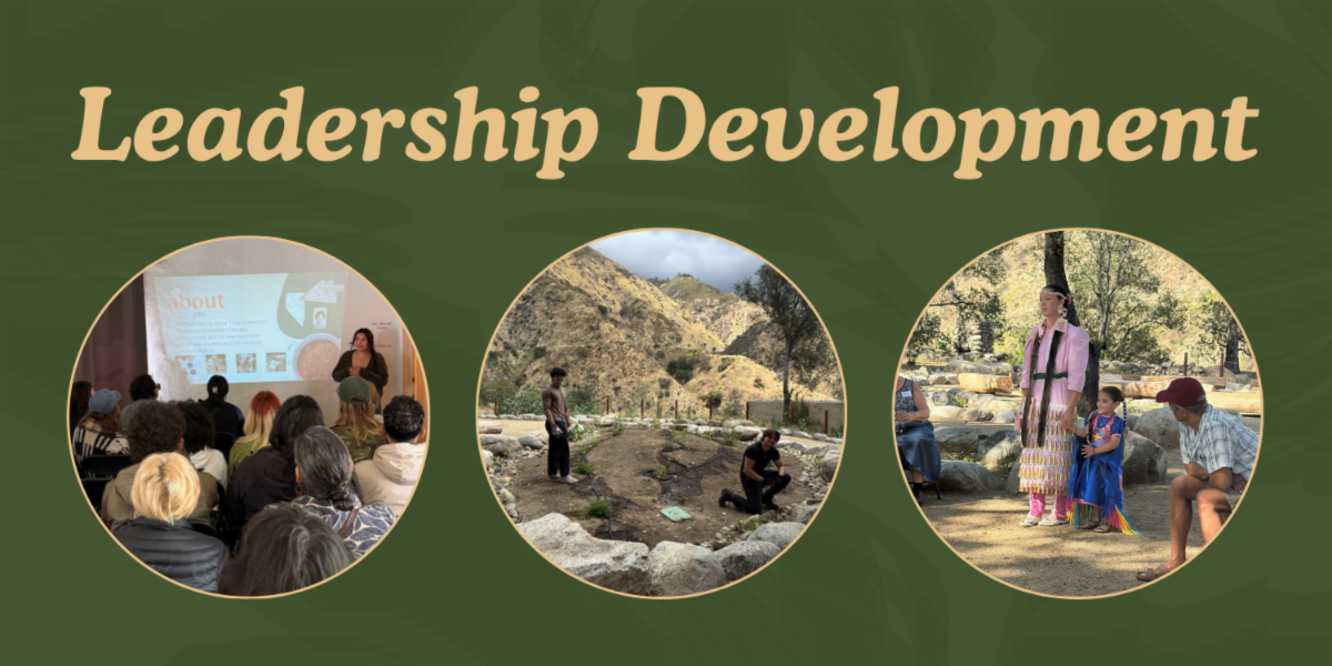 This green banner reads, "Leadership Development."