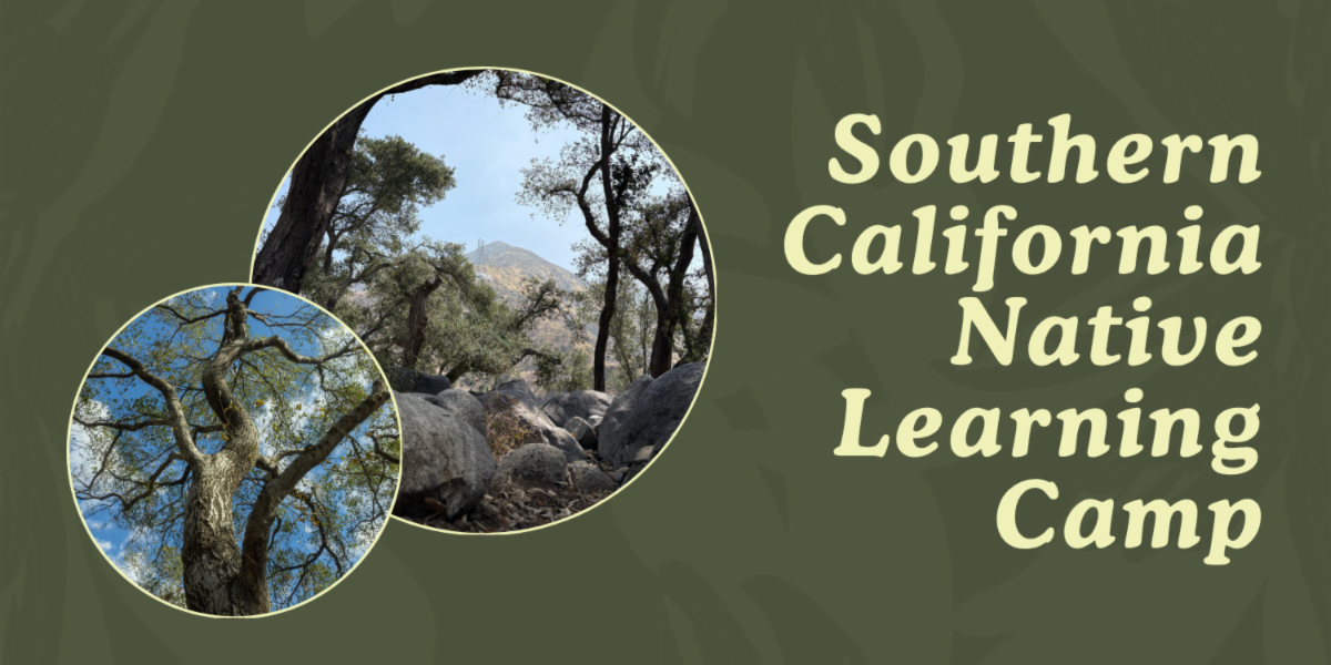 Southern California Native Learning Camp