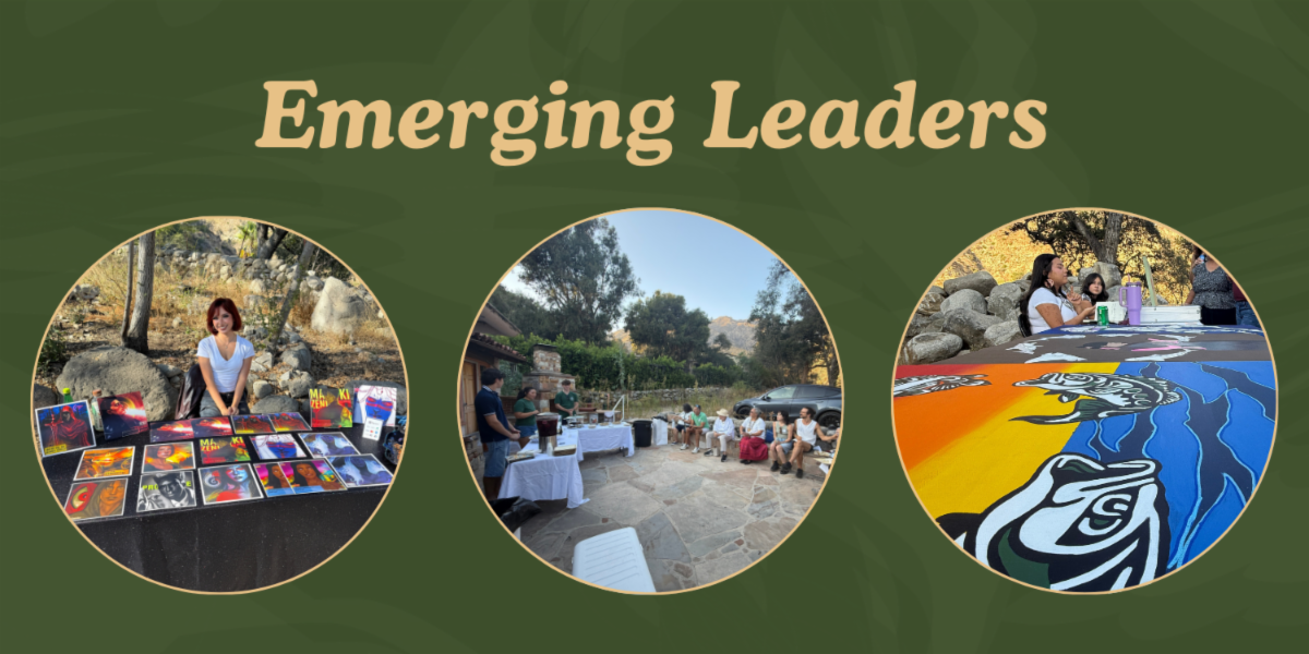 This green banner reads, "Emerging Leaders."
