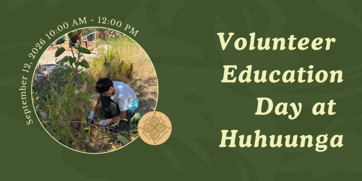 This green graphic reads, "Volunteer Education Day at Huhuunga."