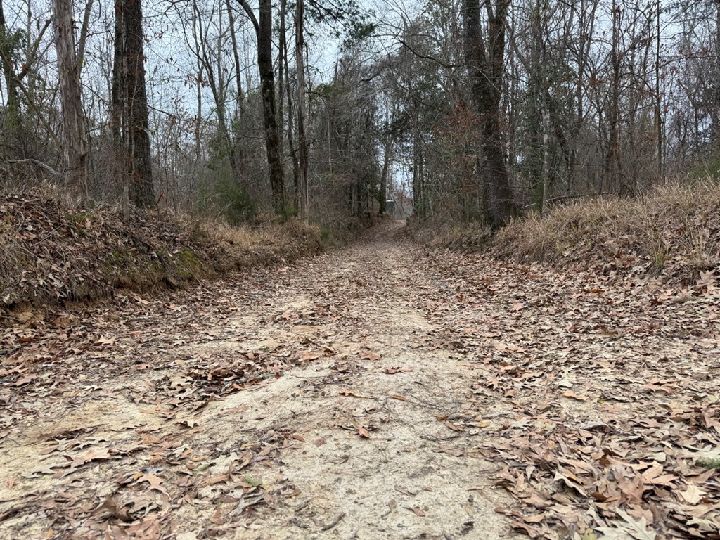 400+/ Acres TURNKEY hunting camp in Claiborne County